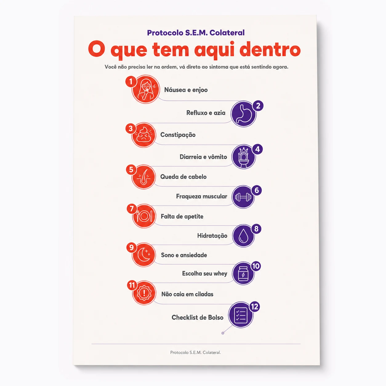 Índice O que tem aqui dentro do Protocolo S.E.M. Colateral
